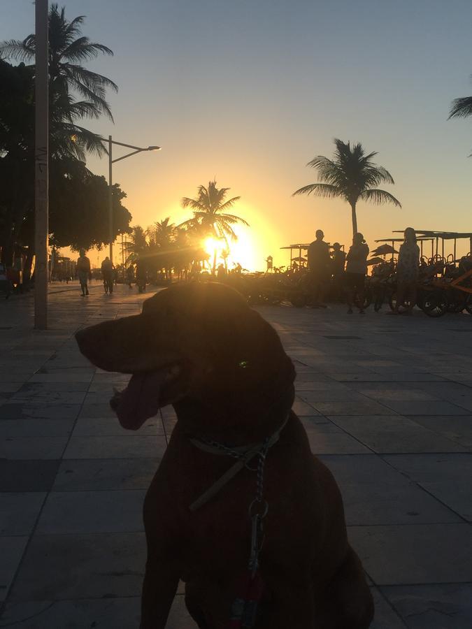 Apartamento Na Melhor Localizacao De Fortaleza!! エクステリア 写真